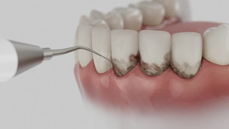 Reliable Dental contractor in Swepsonville, NC by Dentist Open Now